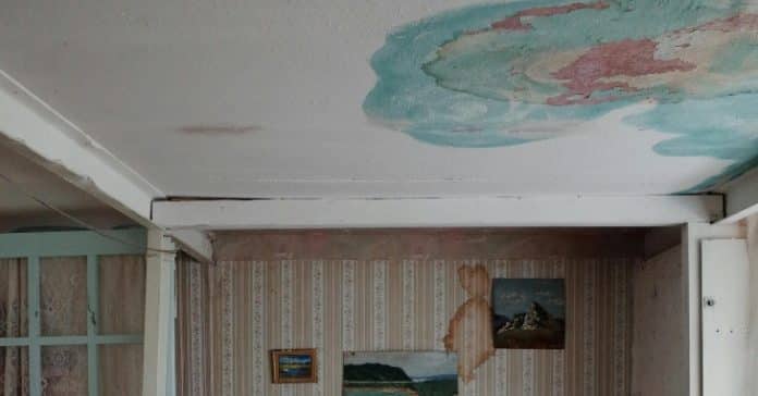 Koji su svi uzroci vlage i plijesni na zidovima ?