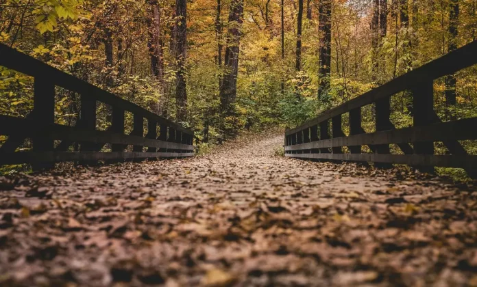 Vrnjačka Banja van sezone - zašto je jesen idealno vreme
